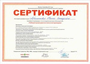 сертификат 2 300х212