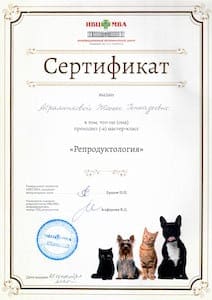 сертификат 4 212х300
