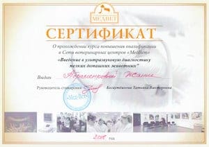 сертификат 5 300х212